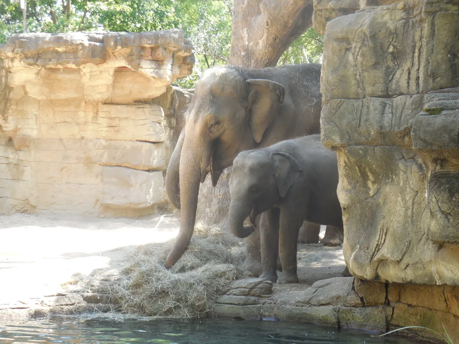 Parc zoologique de Saint-Louis
