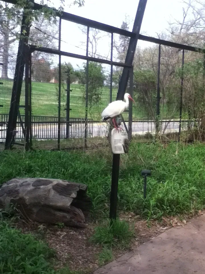 Parque Zoológico de San Luis