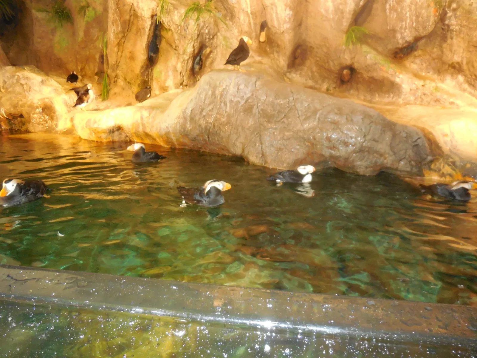 Parque Zoológico de San Luis