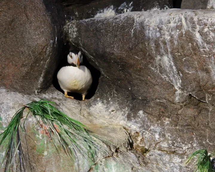 Parque Zoológico de San Luis