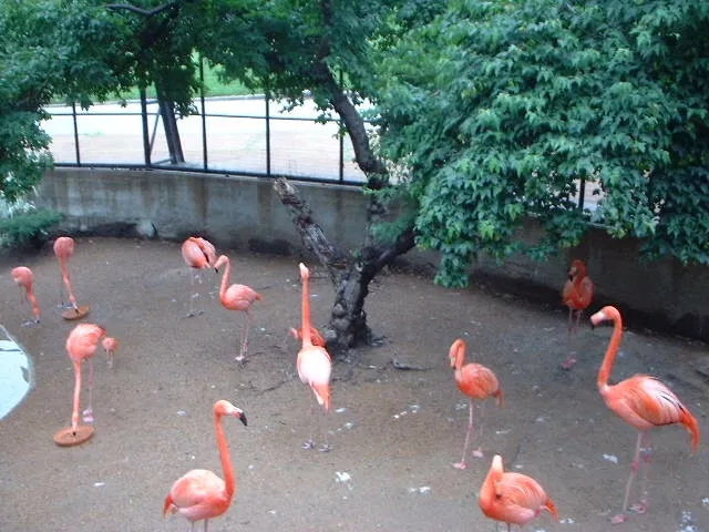 Parc zoologique de Saint-Louis