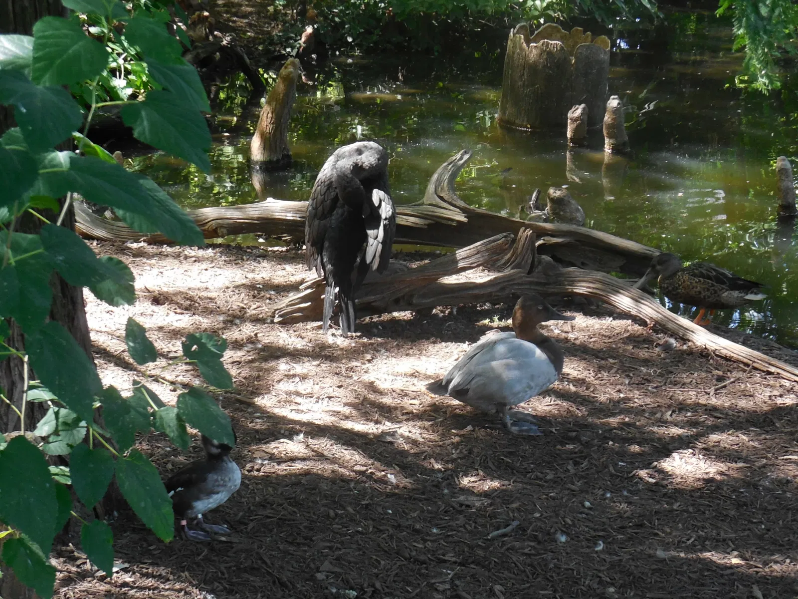 Parc zoologique de Saint-Louis