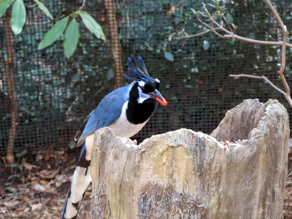 Parc zoologique de Saint-Louis