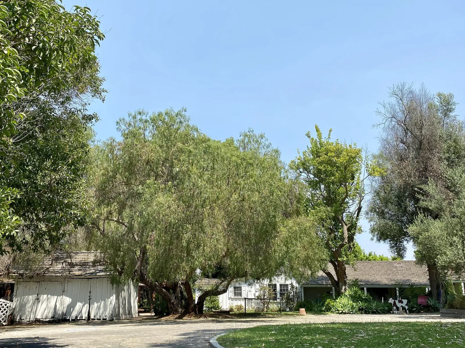 Historical Society of Centinela Valley