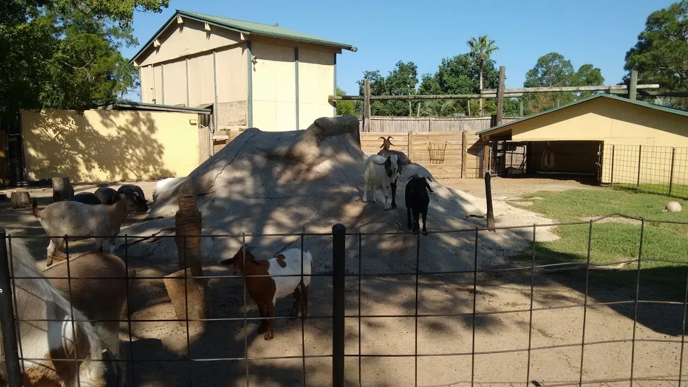 Alabama Gulf Coast Zoo