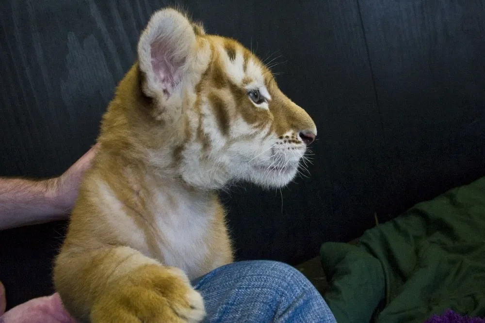 Alabama Gulf Coast Zoo