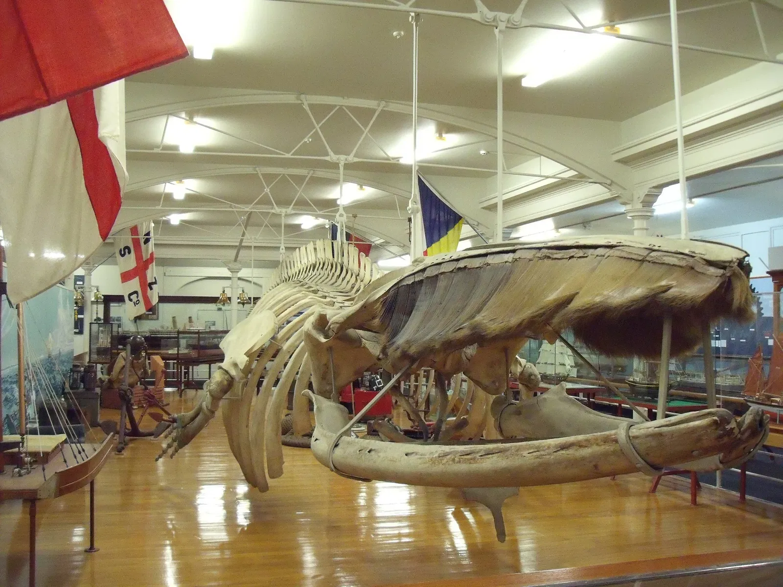 Otago Museum
