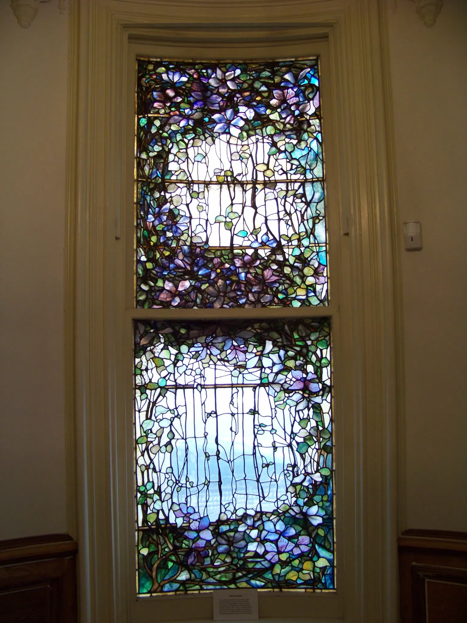 Cayuga Museum of History and Art