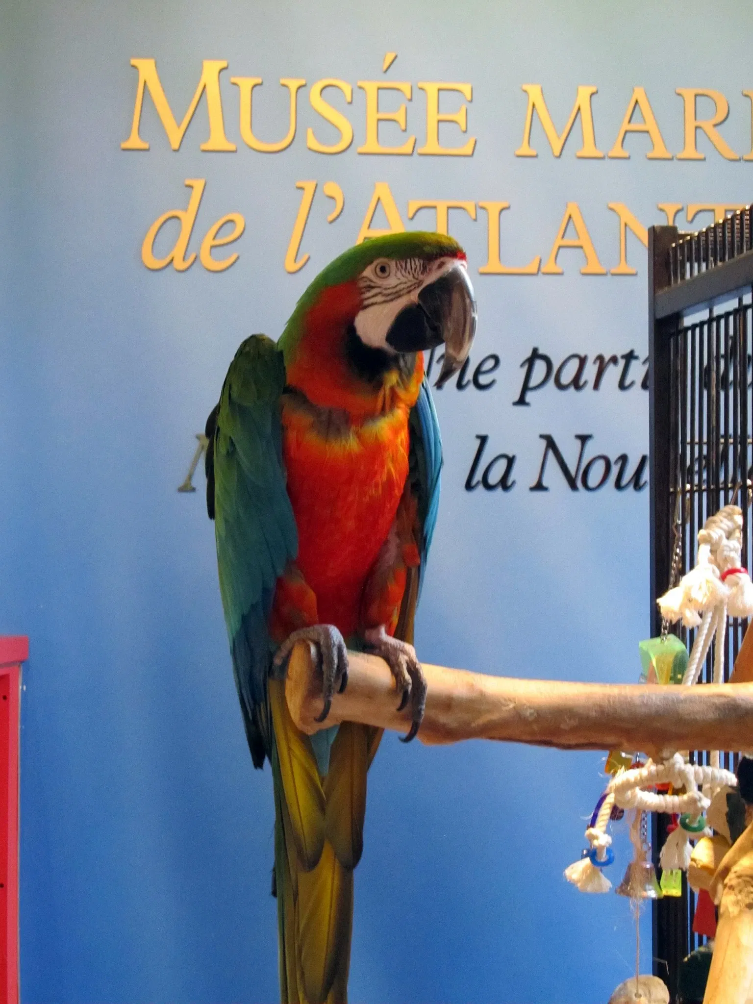 Maritime Museum of the Atlantic