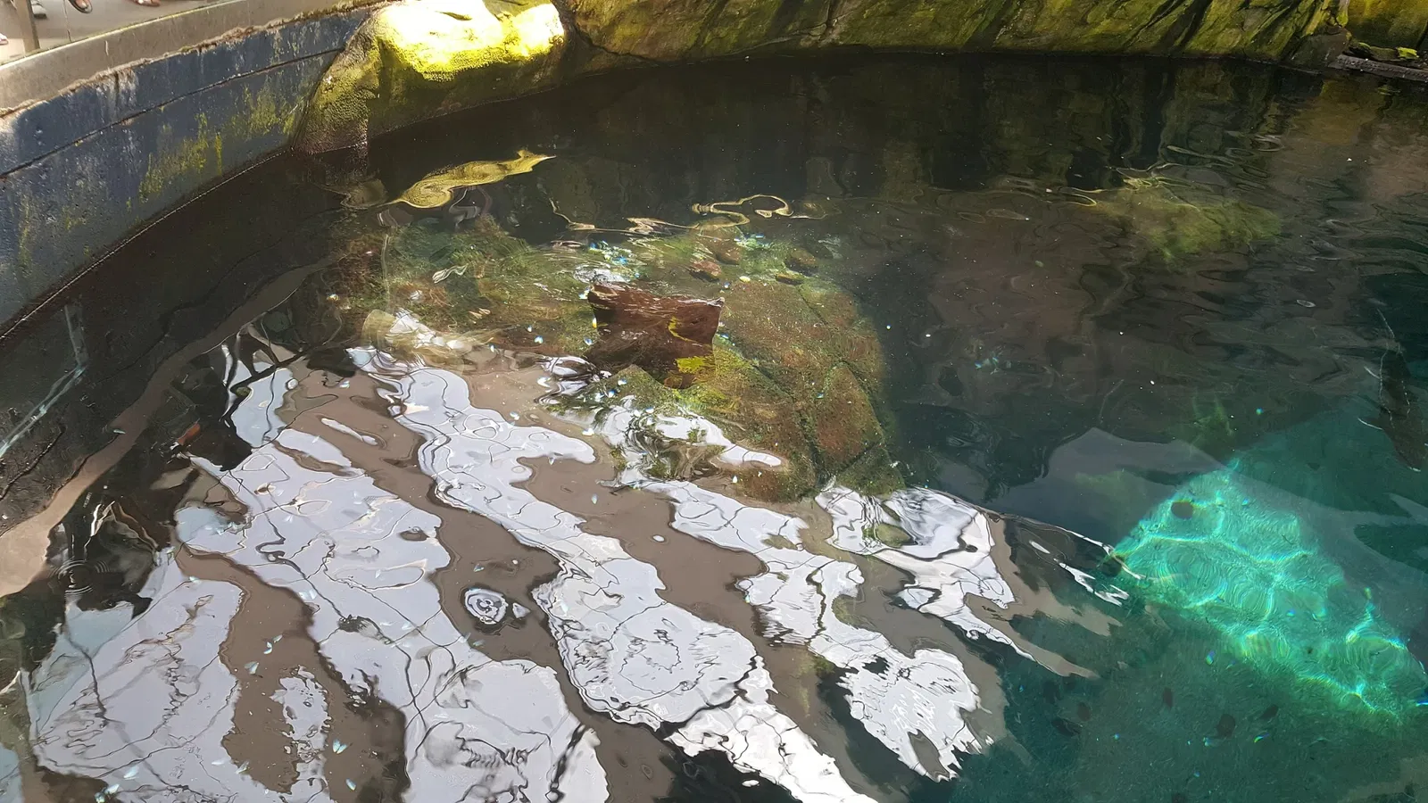 Biodôme Montréal
