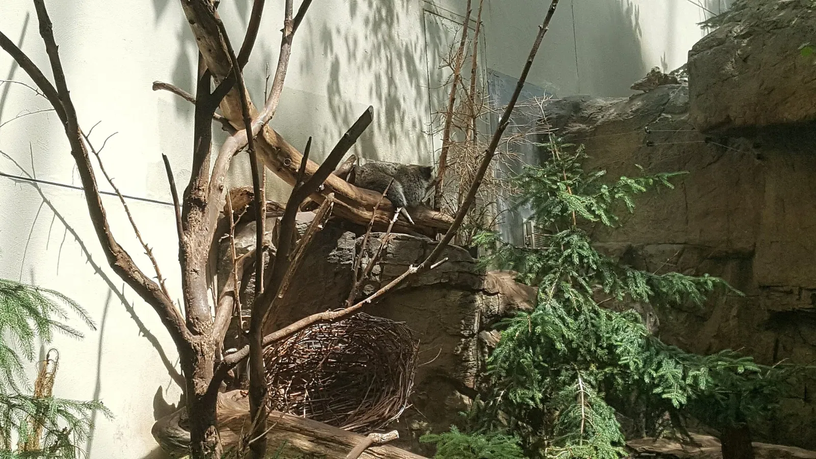 Biodôme de Montreal