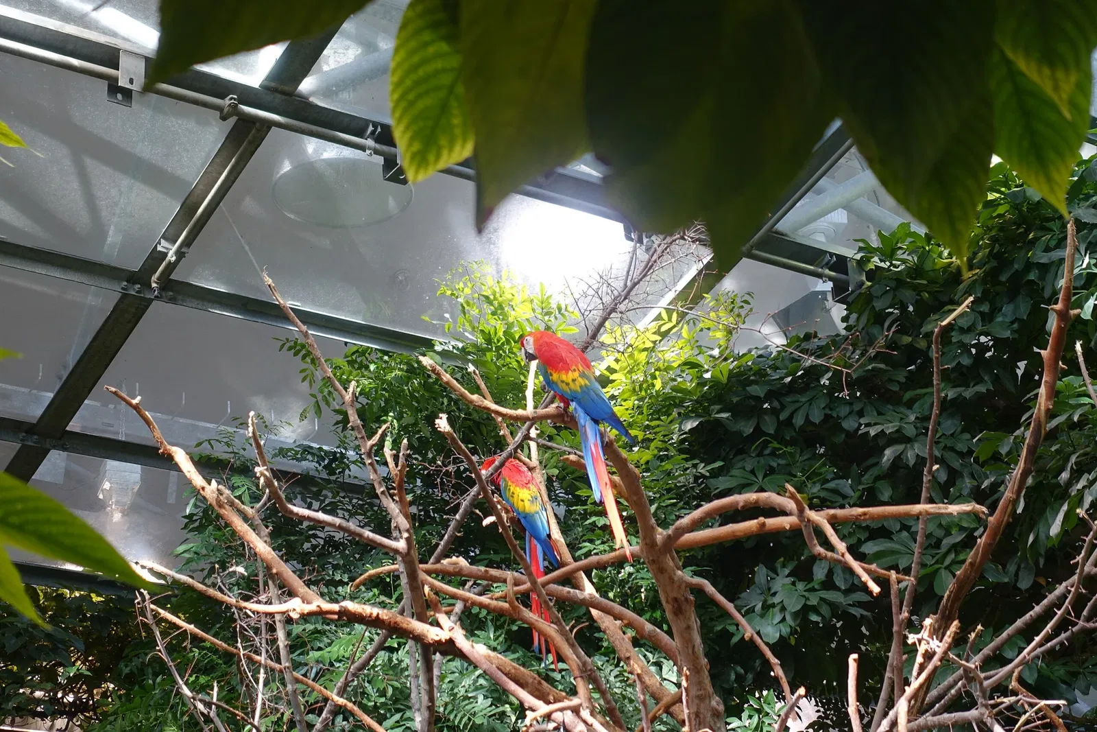 Biodôme de Montreal
