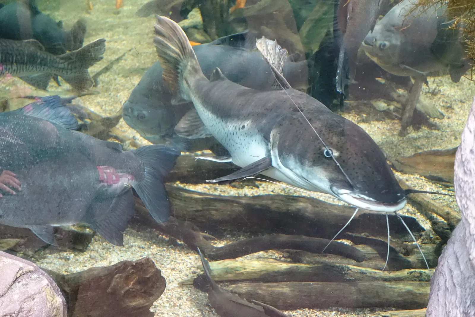 Biodôme de Montreal