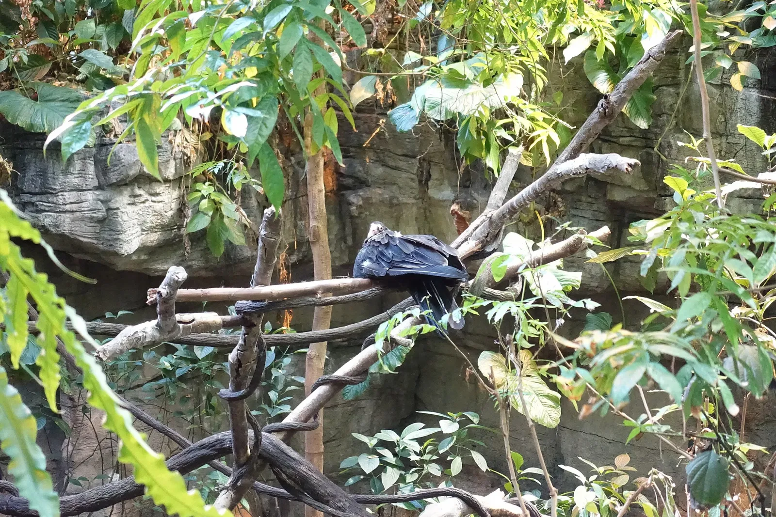 Biodôme de Montreal