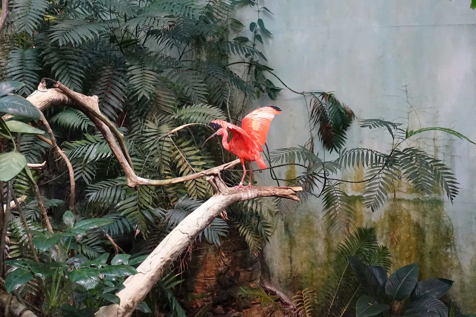 Biodôme de Montreal