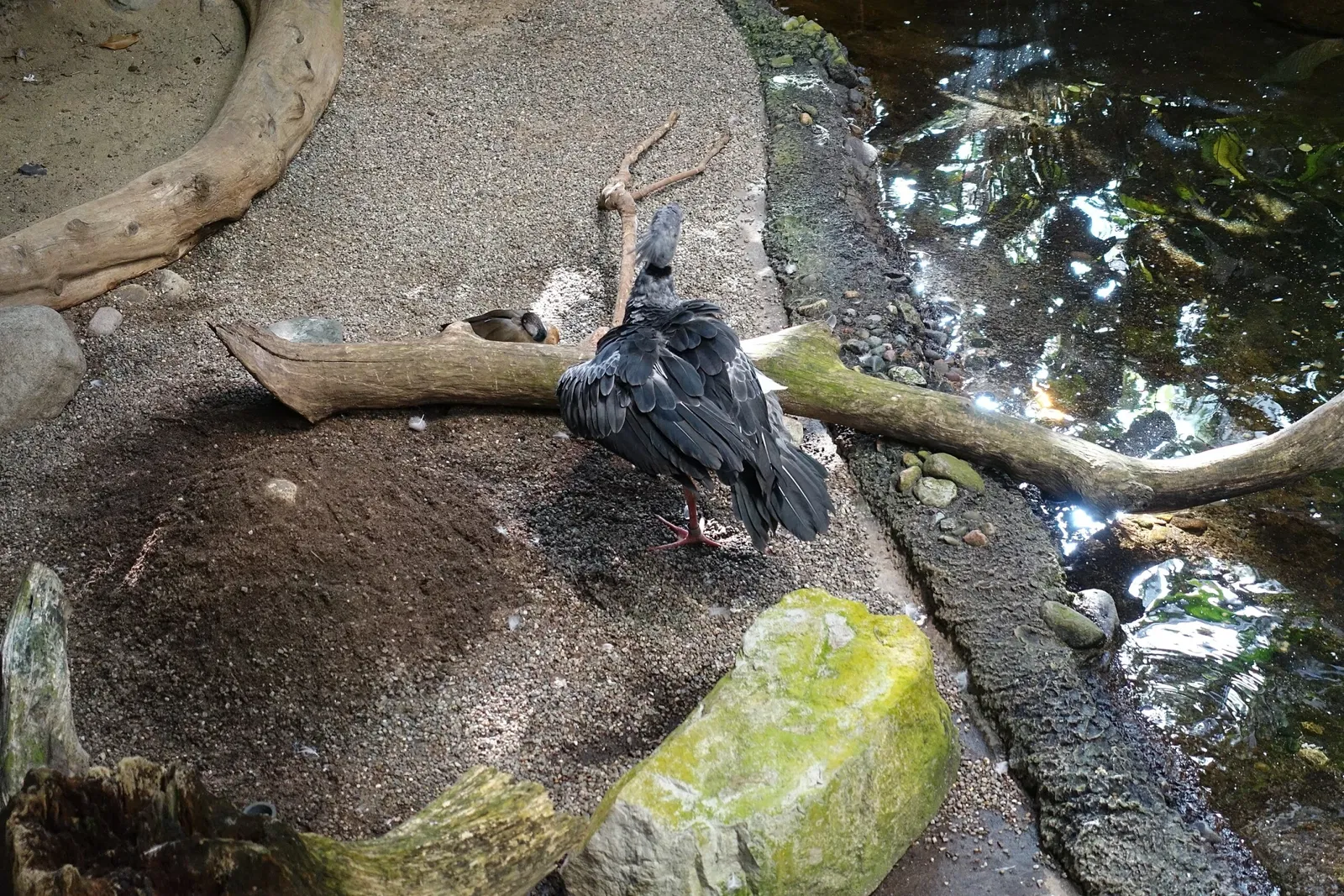 Biodôme de Montreal