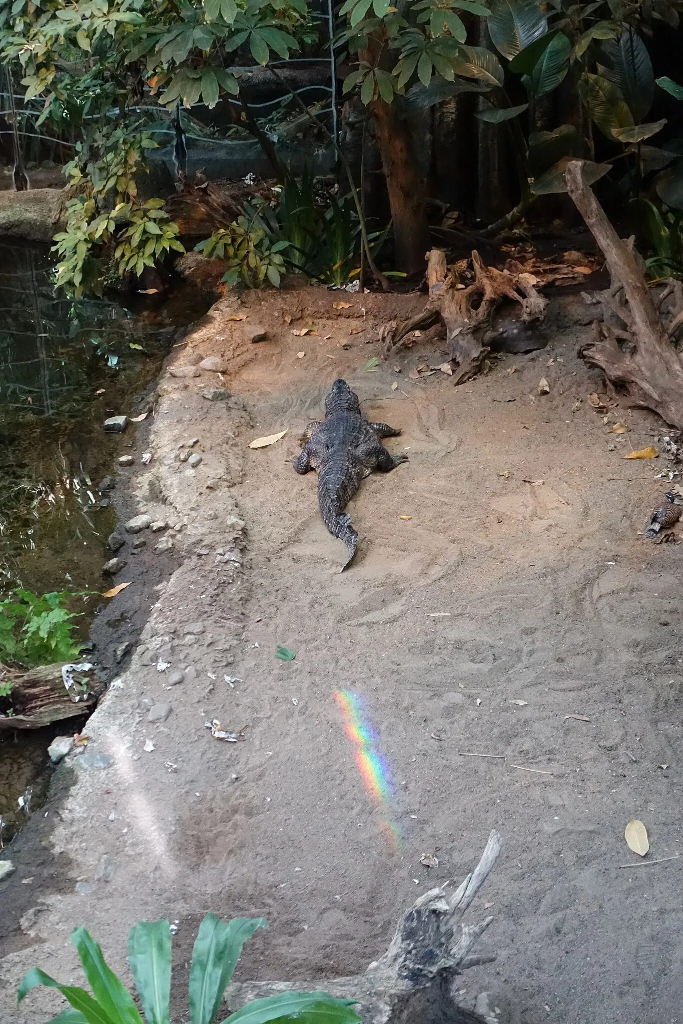 Biodôme de Montreal