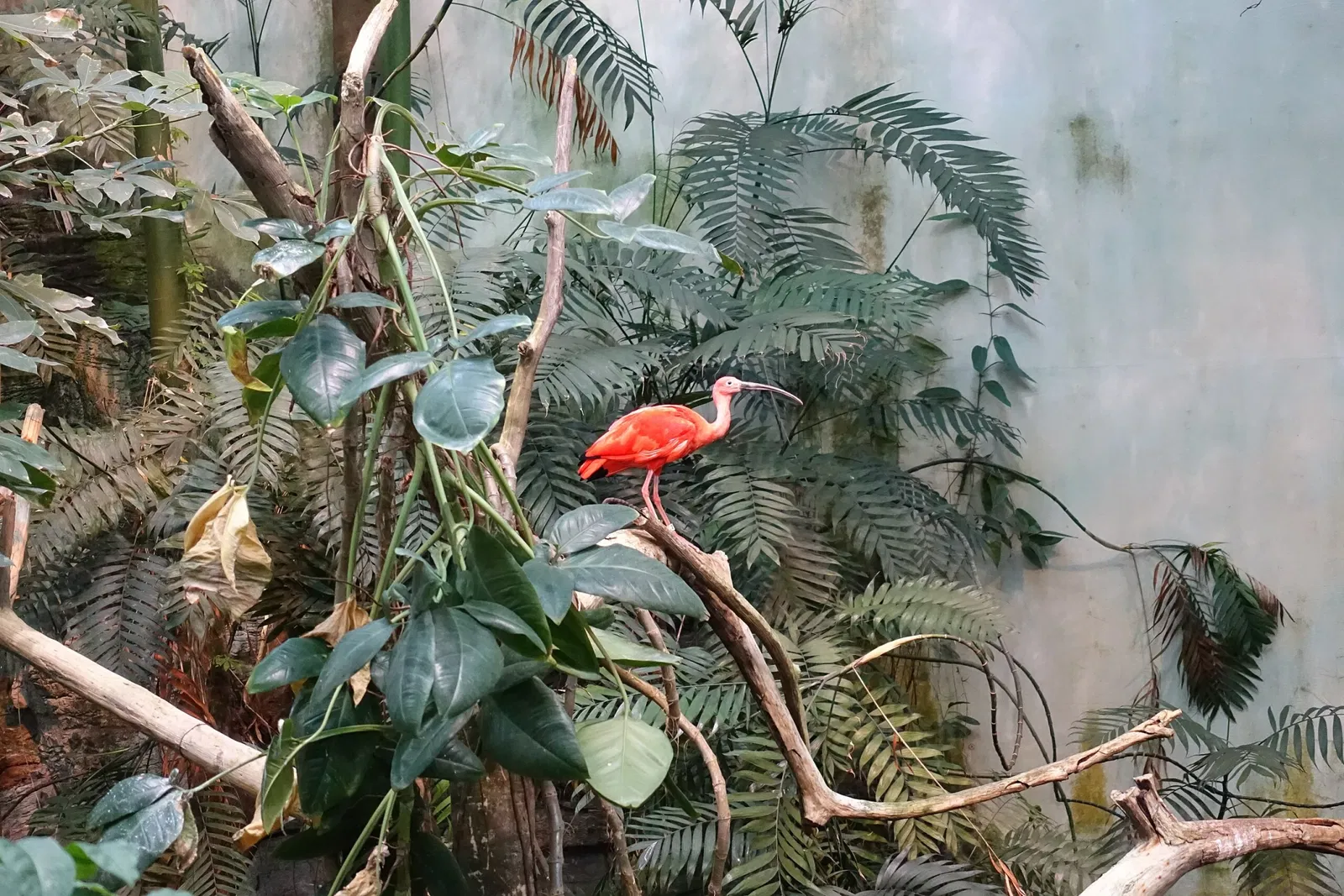 Biodôme Montréal