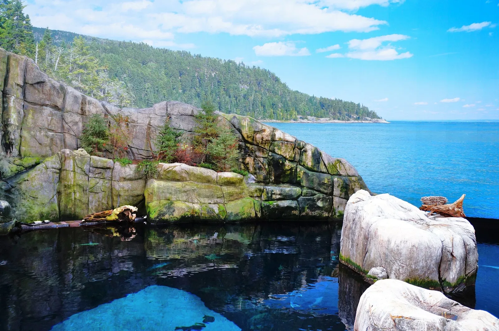 Biodôme de Montreal