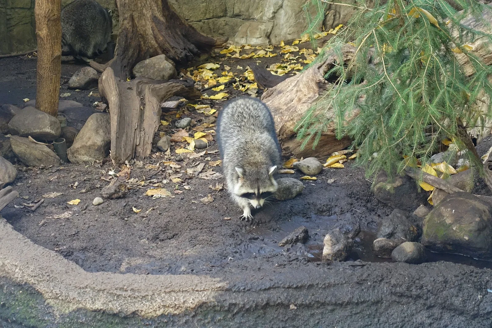 Biodôme de Montreal