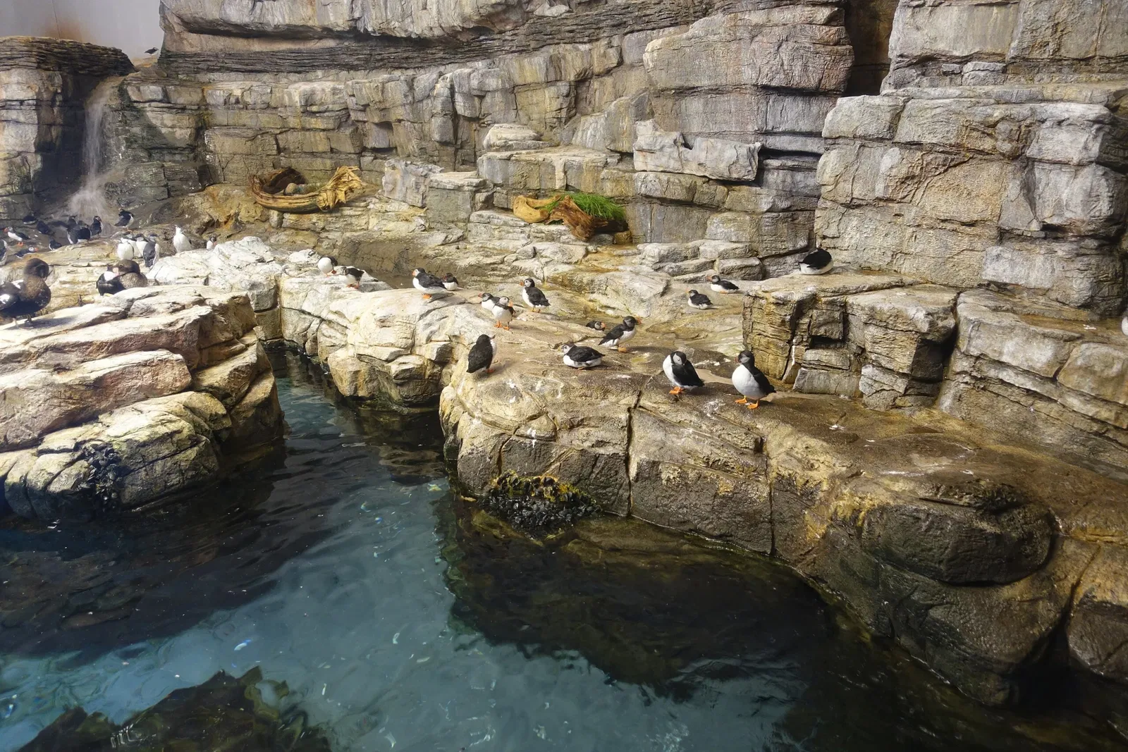Biodôme de Montreal