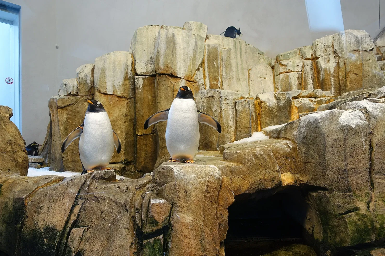 Montreal Biodome