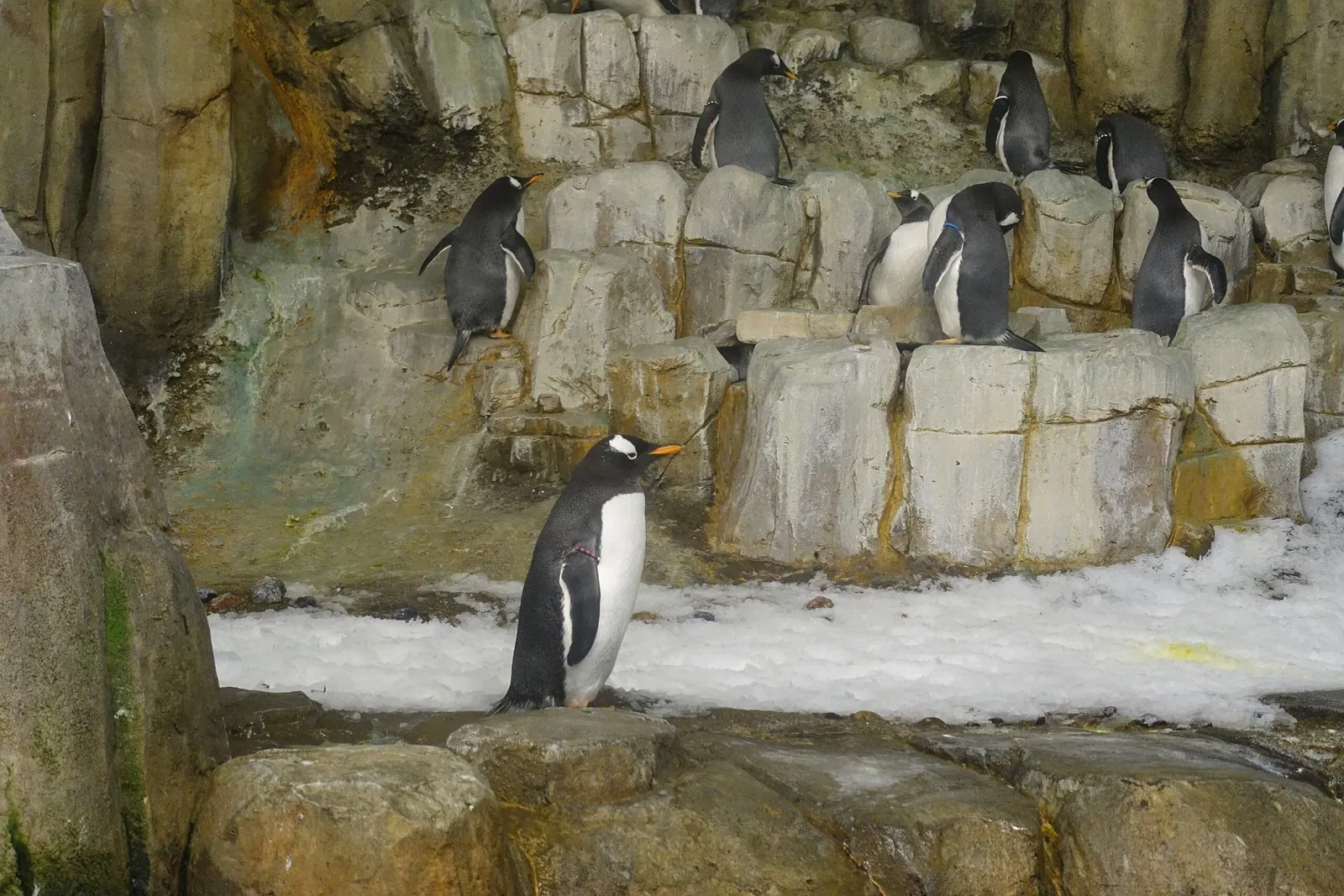 Biodôme de Montreal