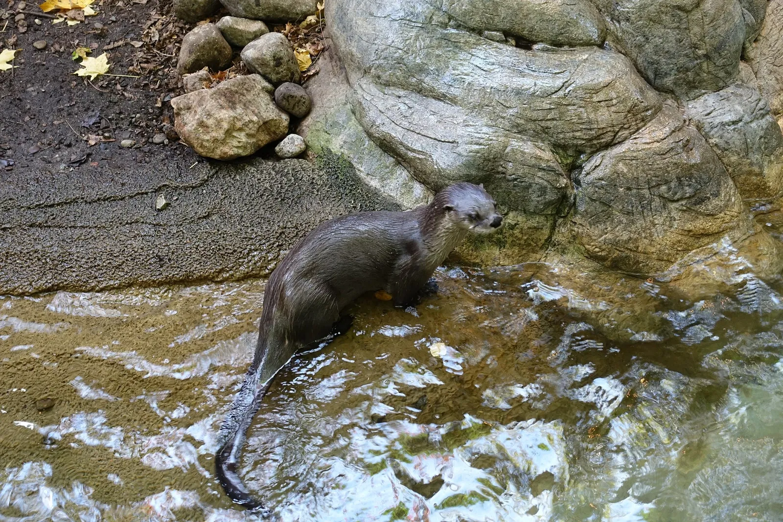 Biodôme Montréal