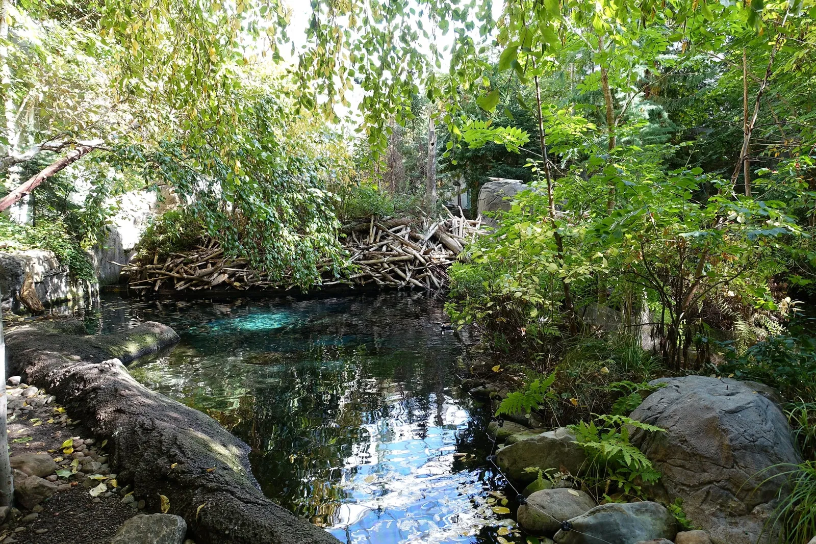 Biodôme de Montreal