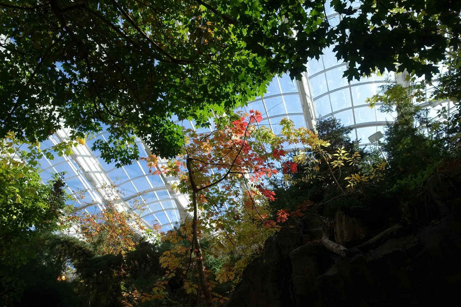 Biodôme de Montreal