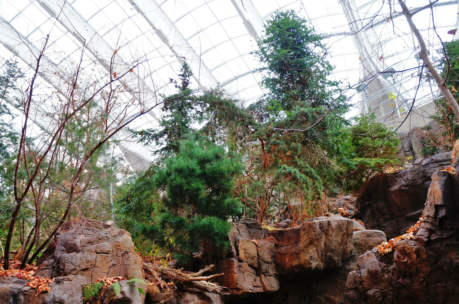 Biodôme de Montreal