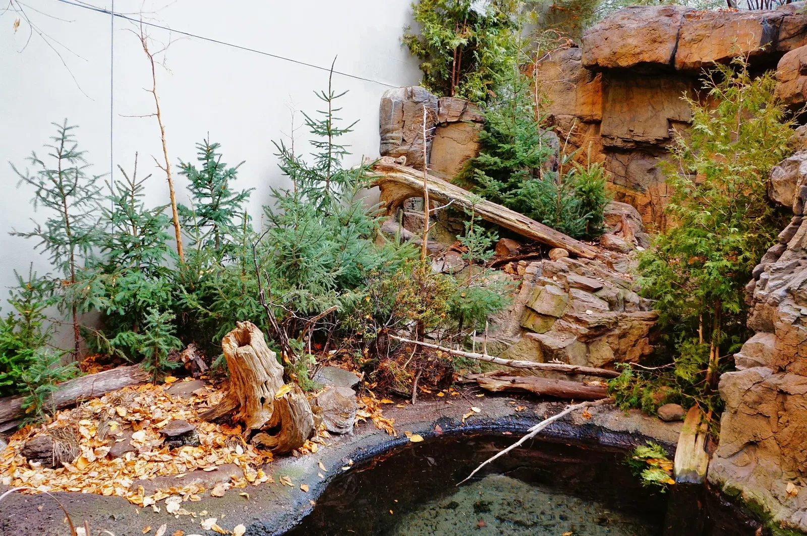 Biodôme de Montreal