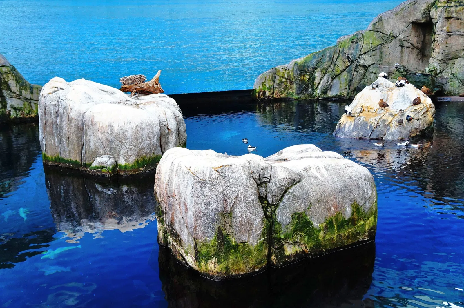 Biodôme de Montreal