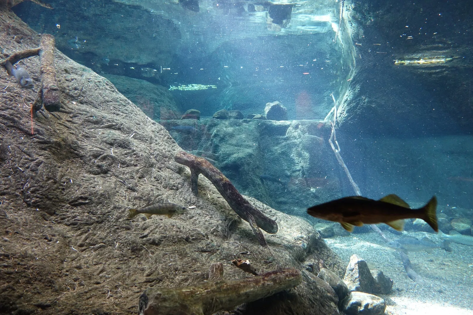 Biodôme de Montreal