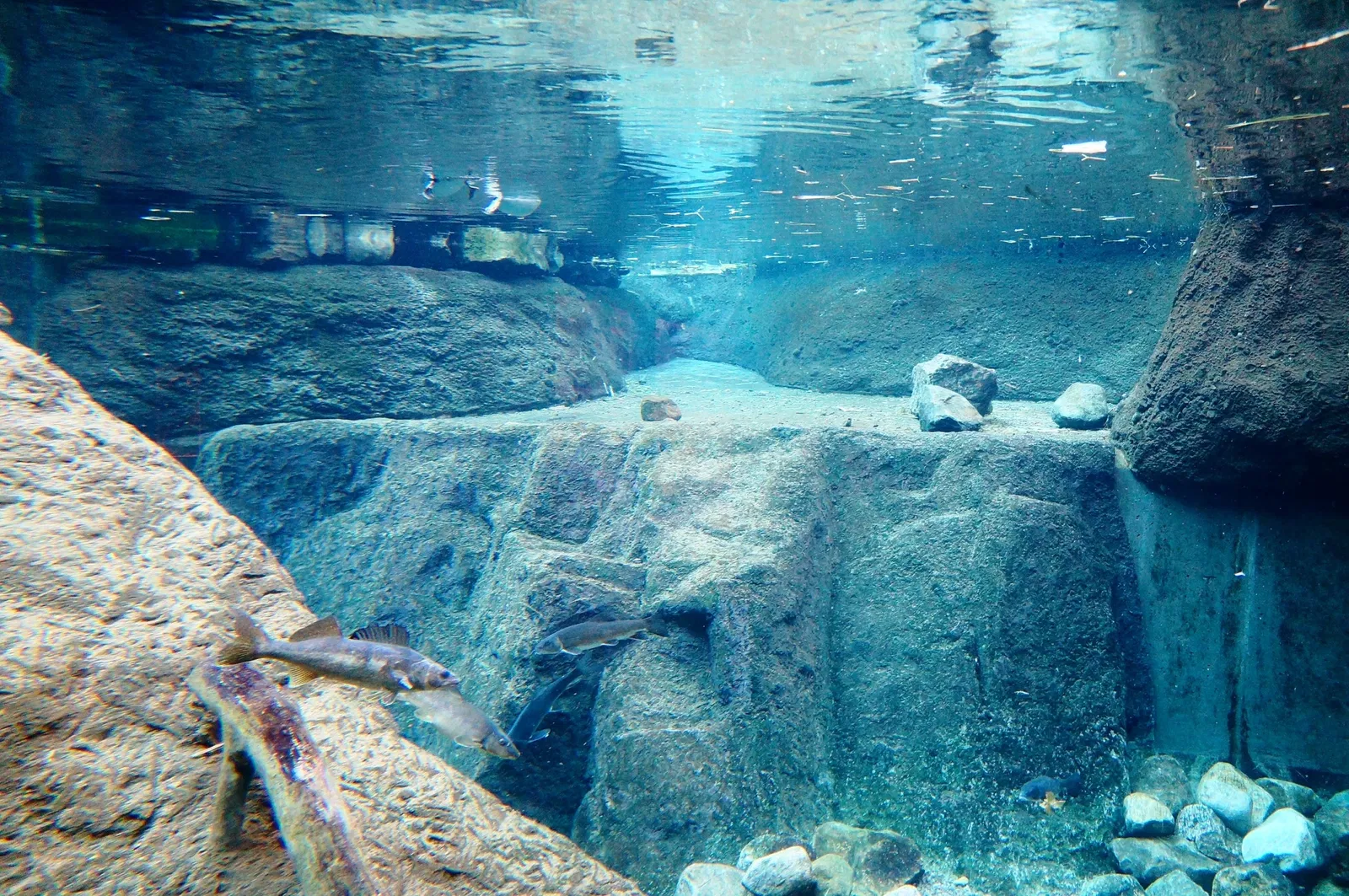 Biodôme de Montreal