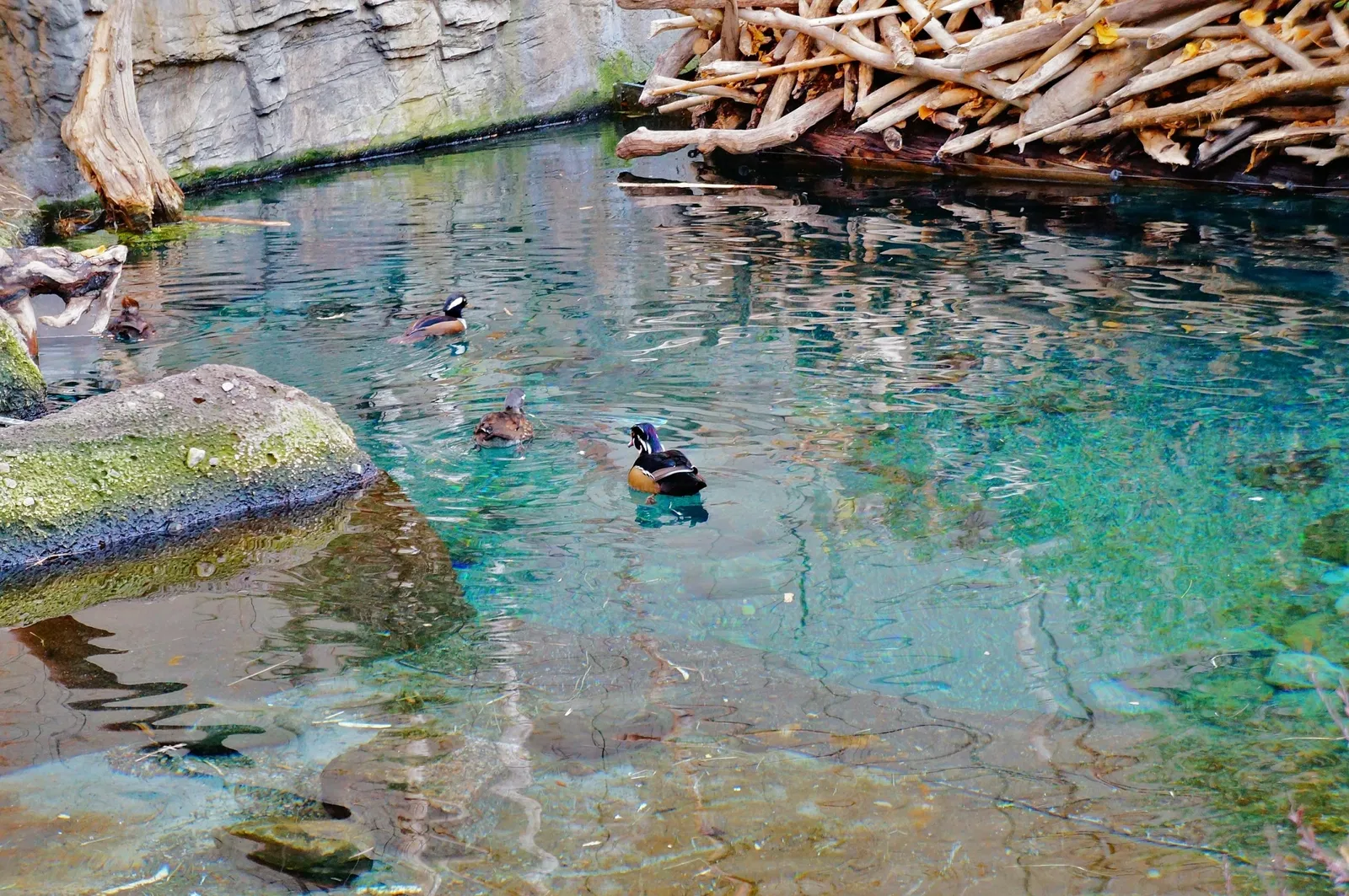 Biodôme de Montreal