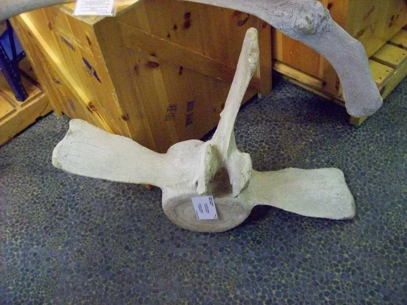 Biodôme de Montreal