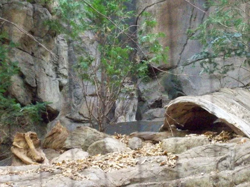 Biodôme de Montreal