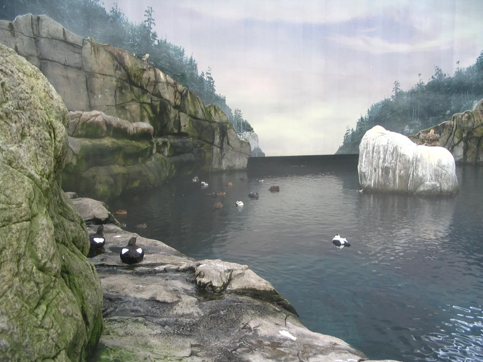 Biodôme de Montreal