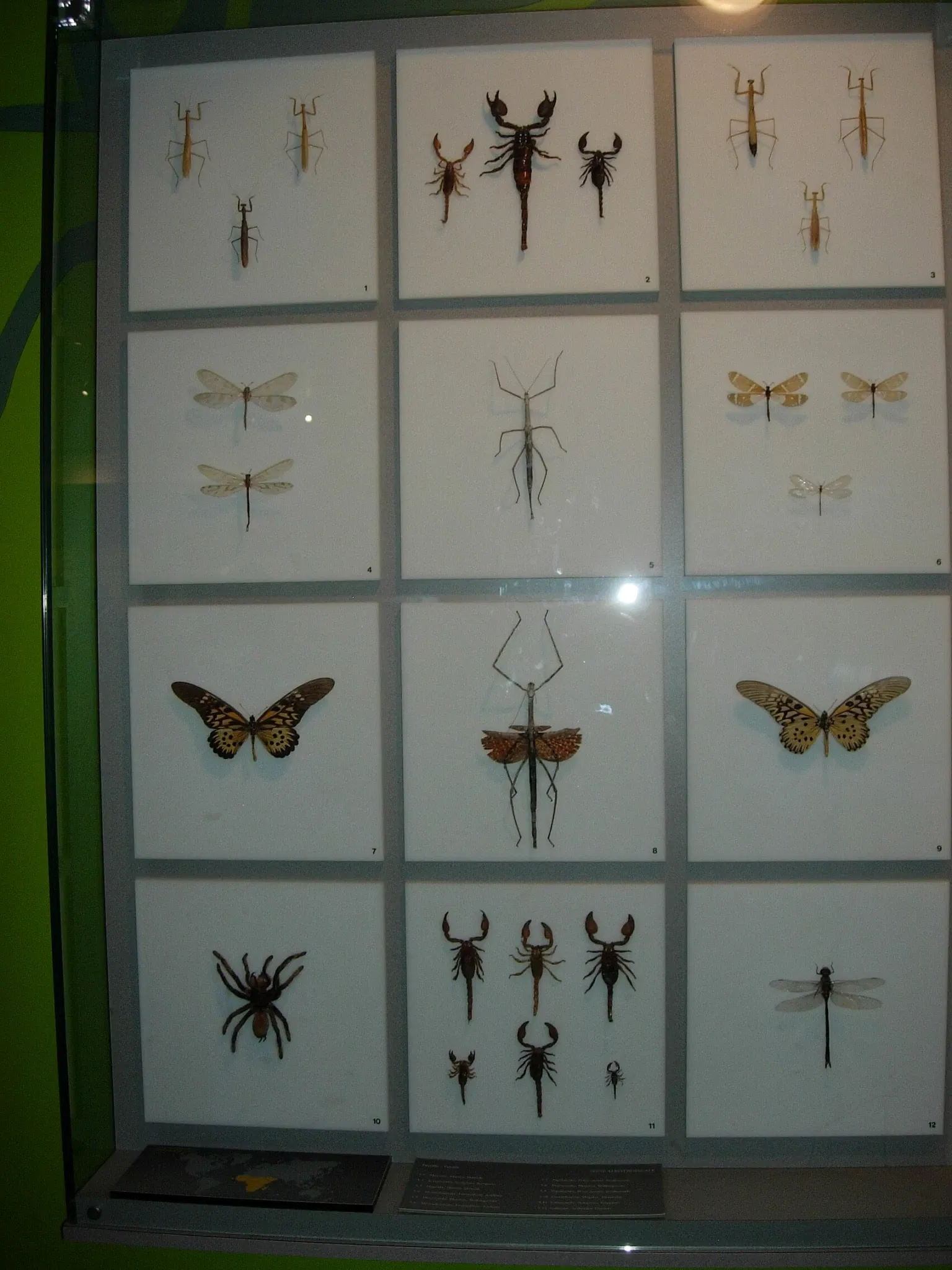 Montreal Insectarium