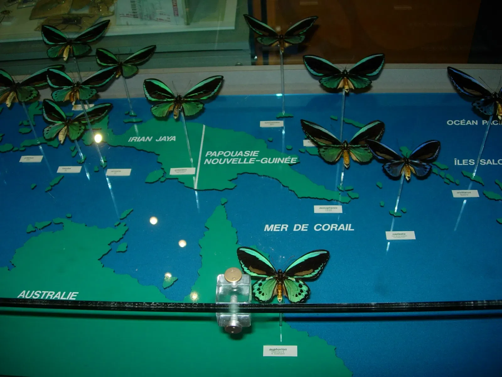Insectarium de Montreal