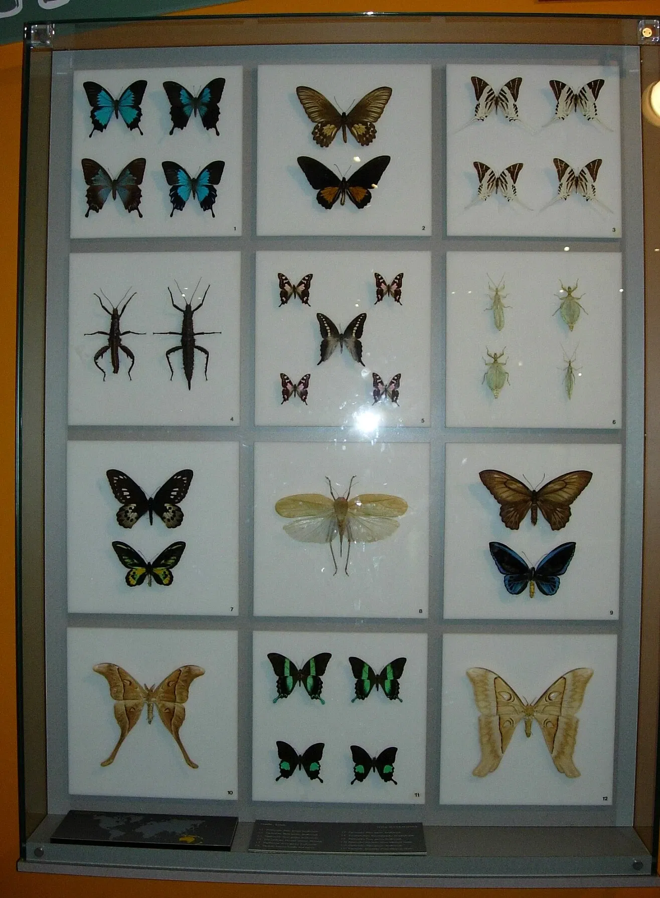 Insectarium de Montreal