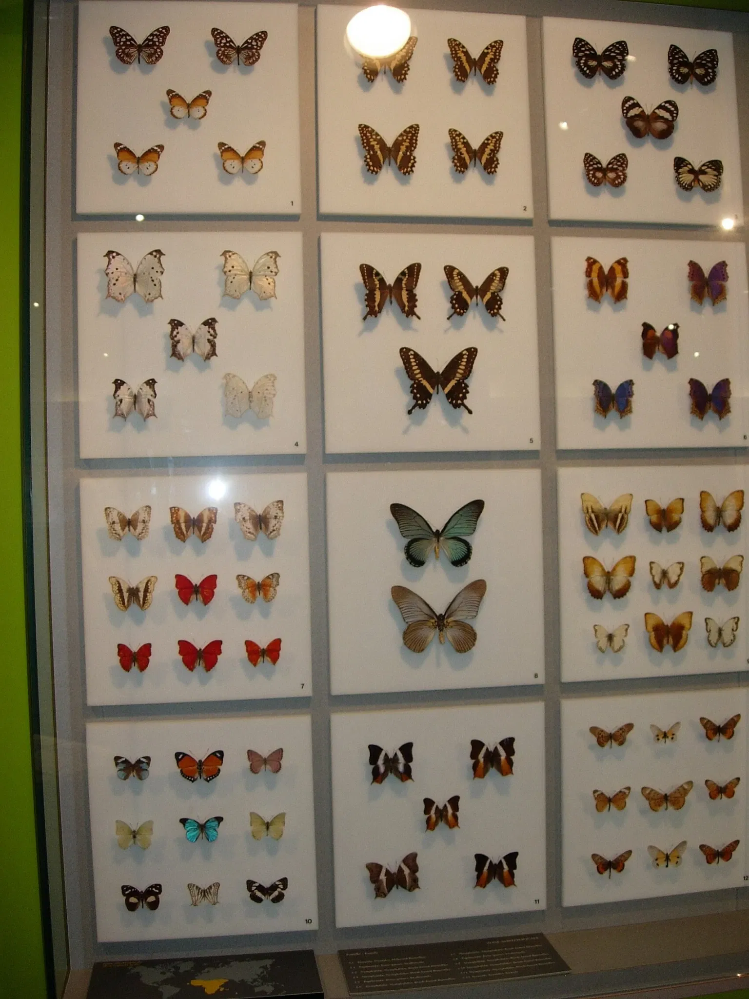 Insectarium de Montreal