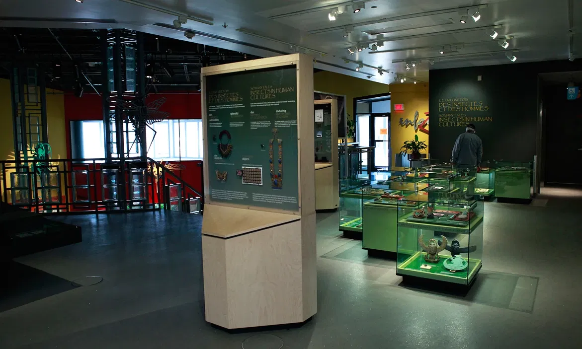 Insettario di Montréal