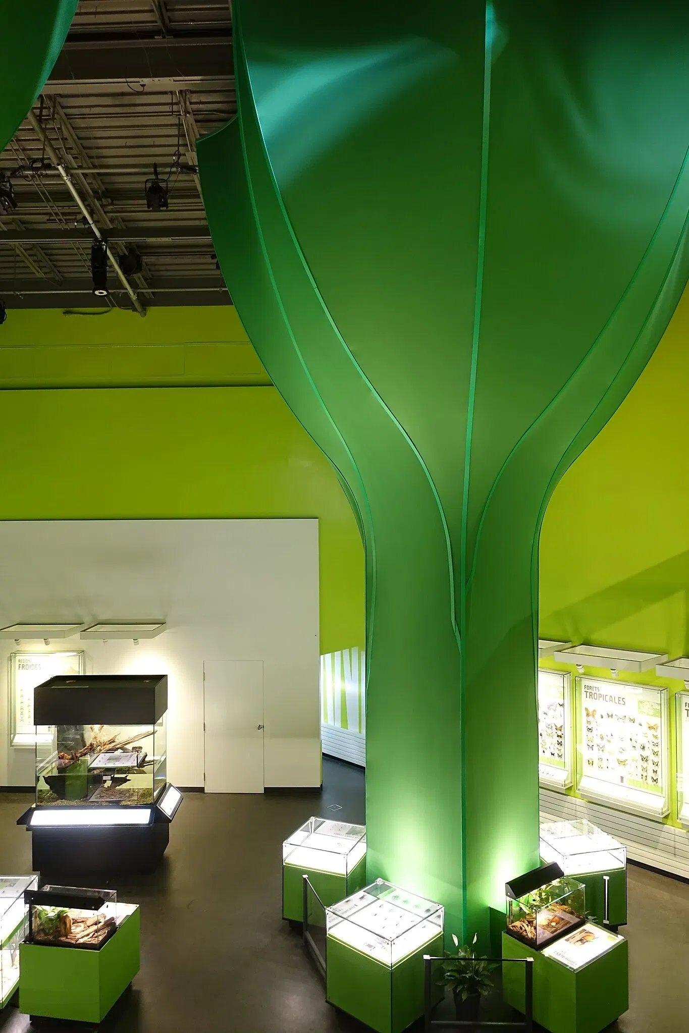 Montreal Insectarium