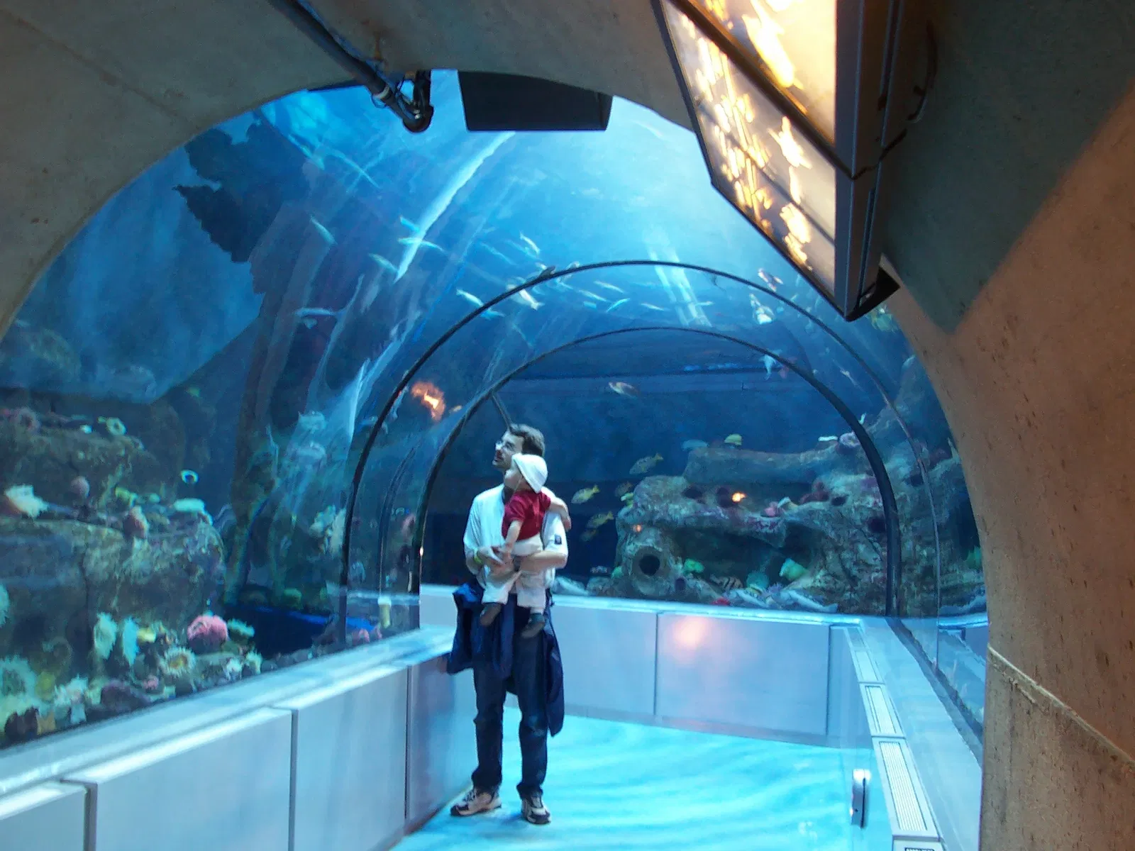 Aquarium of Quebec