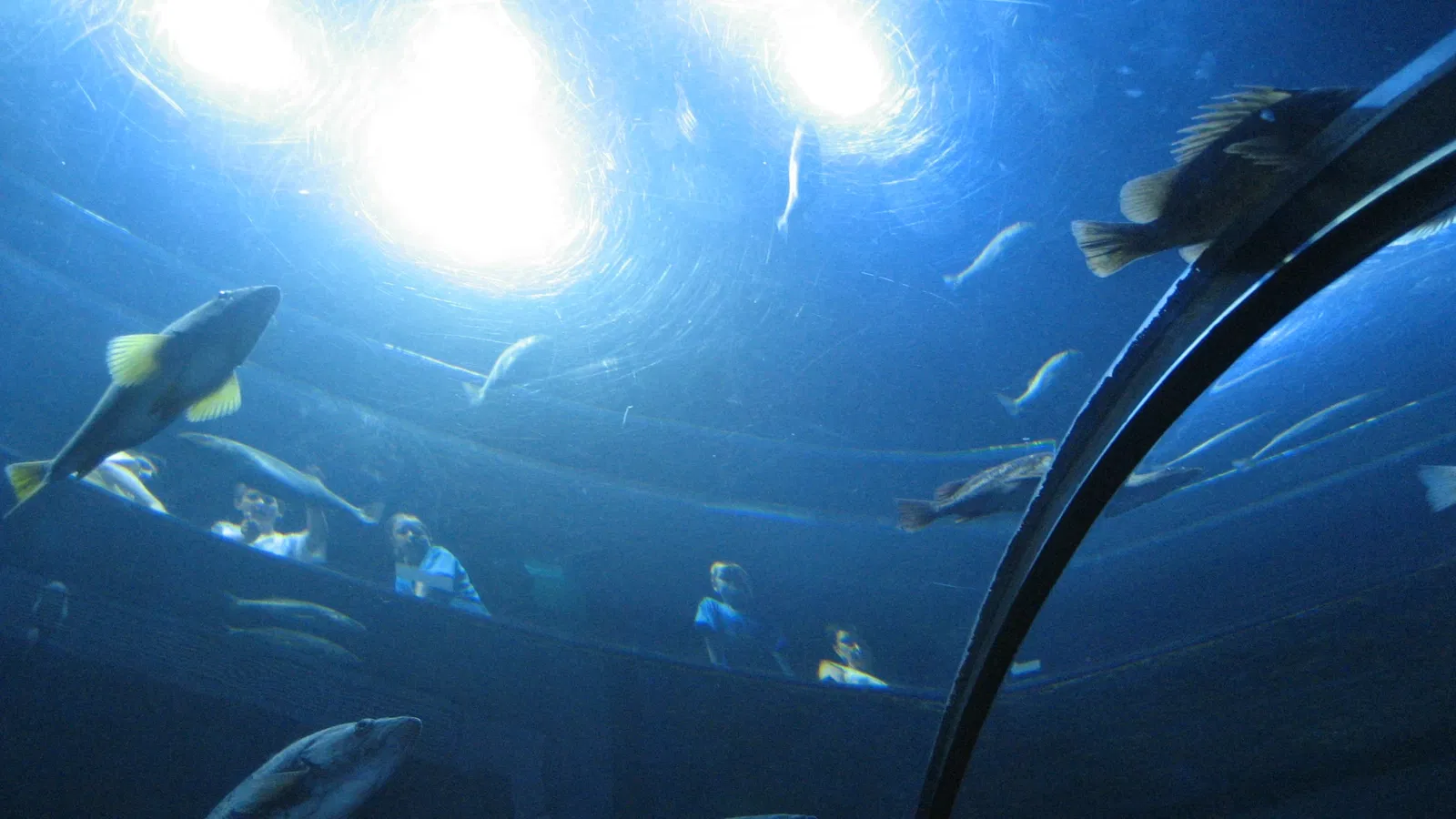 Aquarium du Québec