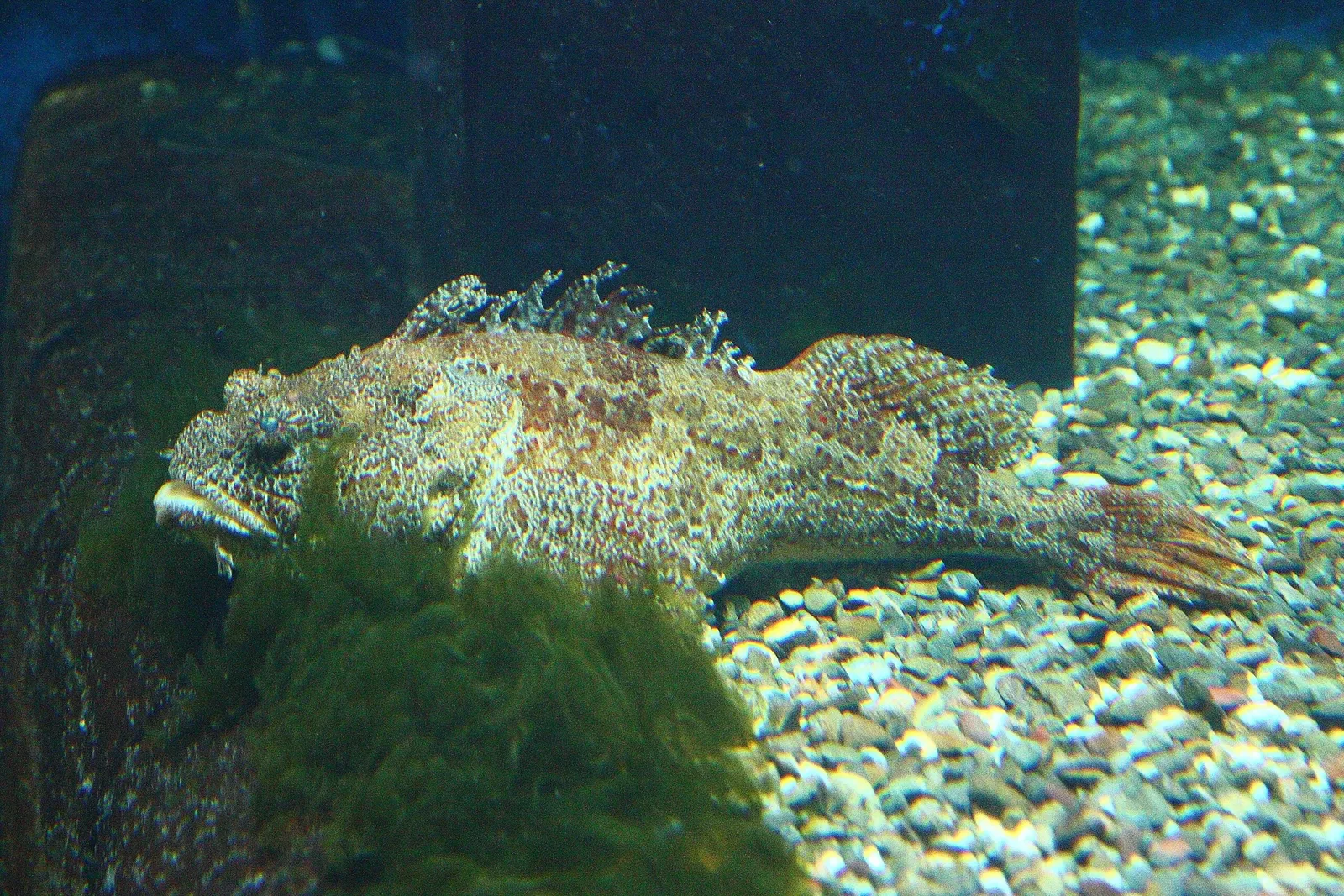 Aquarium of Quebec