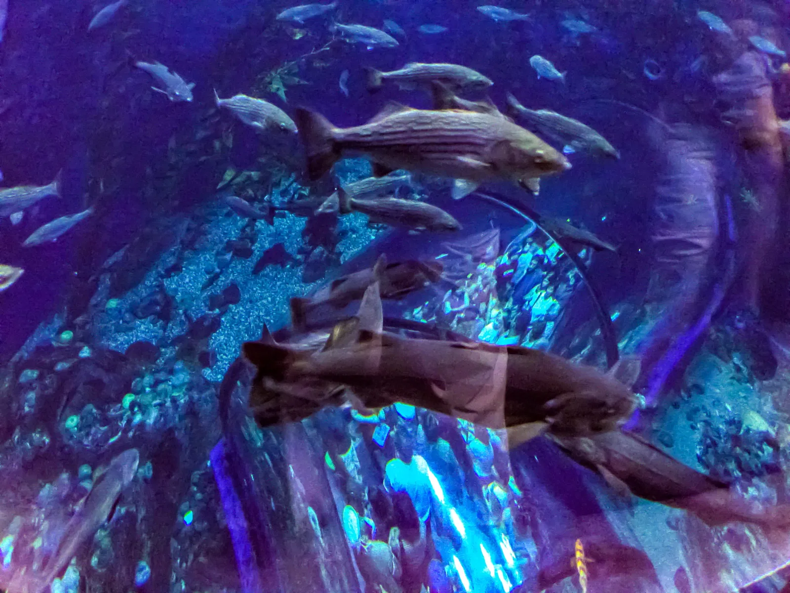 Aquarium du Québec