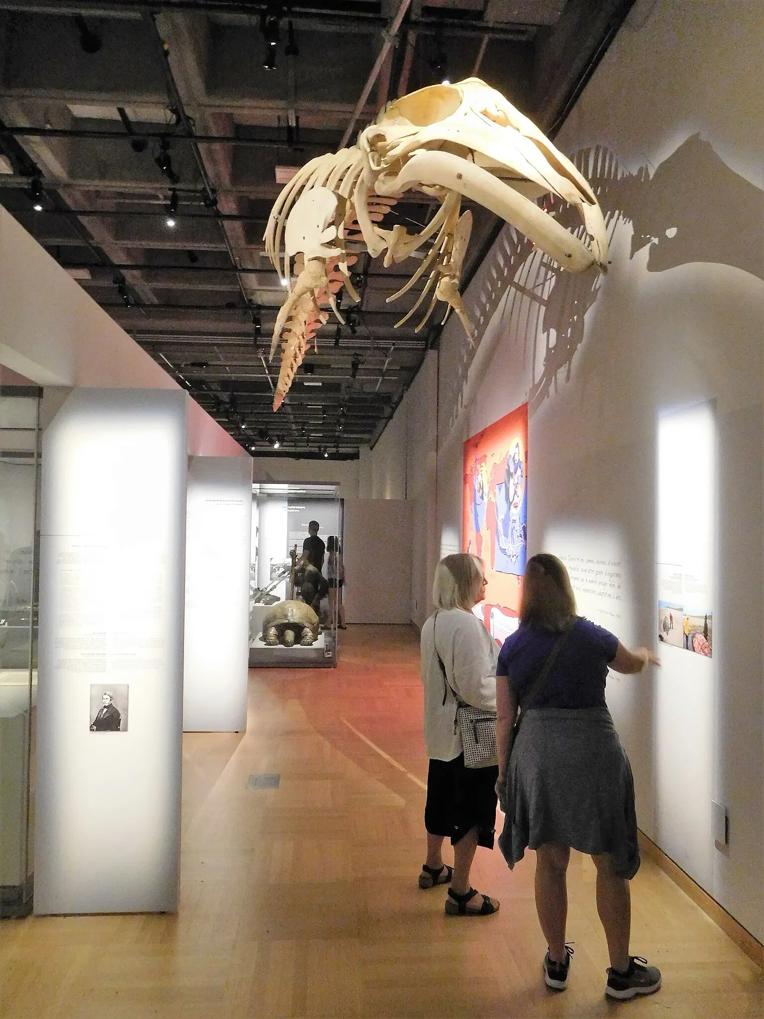 Musée de la Civilisation